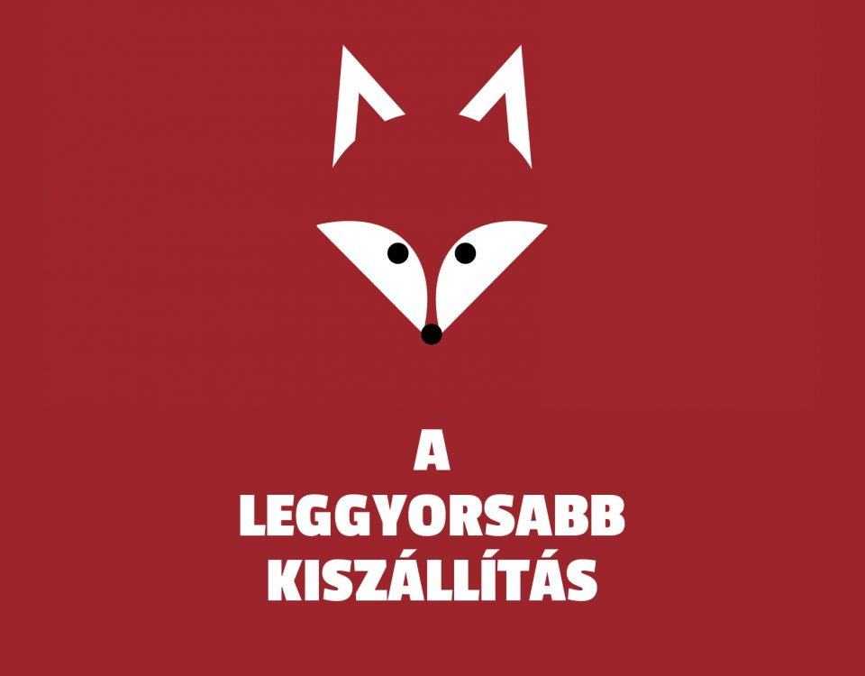 a legygyorsabb kiszállítás